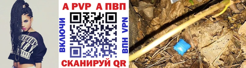 APVP крисы CK  Бородино 