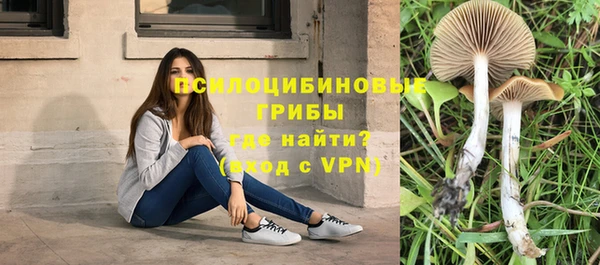 гашик Кинешма