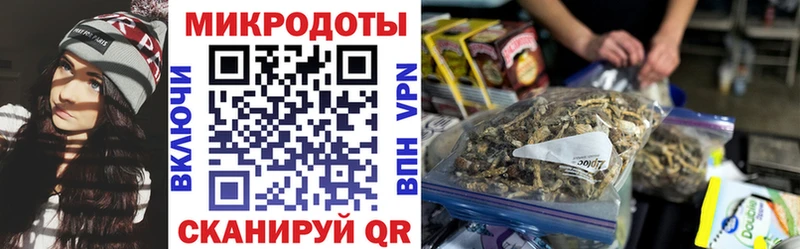 дарнет шоп  Бородино  гидра рабочий сайт  Псилоцибиновые грибы ЛСД 